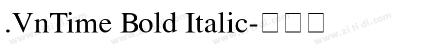 .VnTime Bold Italic字体转换